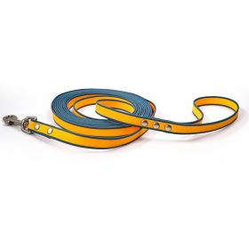Durable material New style two-color training rope Tangle-free Soft on pet 4.92FT Obedience training Daily walk training Park training  Evening/early (Color: Orange-blue, size: 5M)